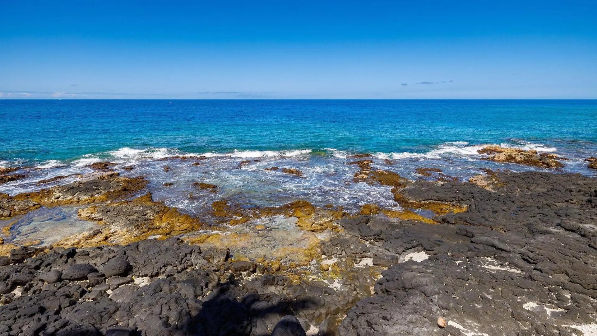 Willa Hale Kale Kailua-Kona