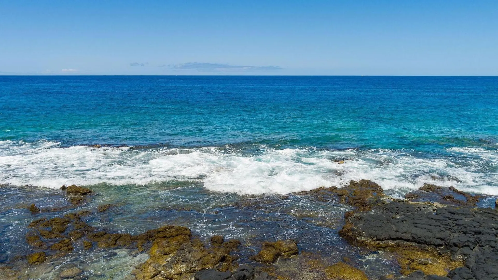 Willa Hale Kale Kailua-Kona