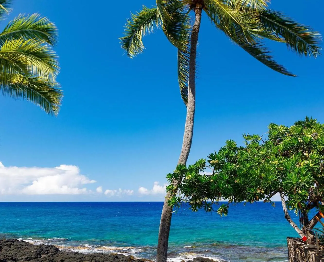 Willa Hale Kale Kailua-Kona Dom wakacyjny
