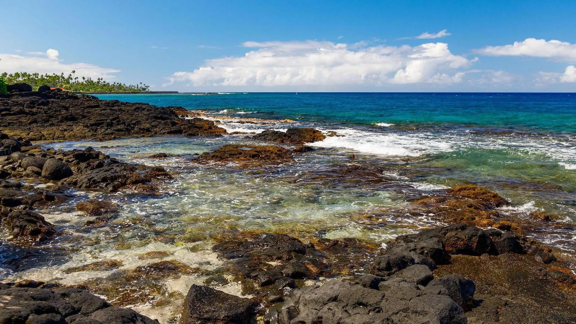 Willa Hale Kale Kailua-Kona 0*,
