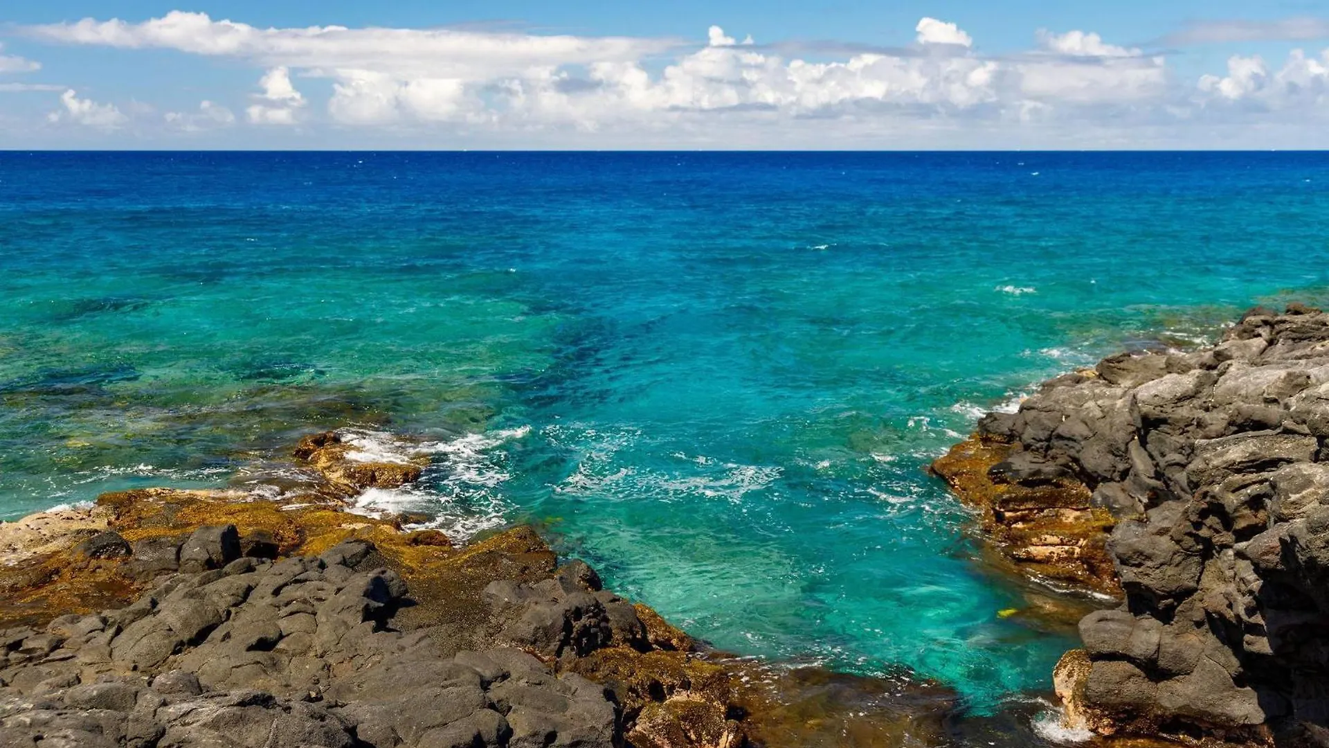 Dom wakacyjny Willa Hale Kale Kailua-Kona Stany Zjednoczone Ameryki