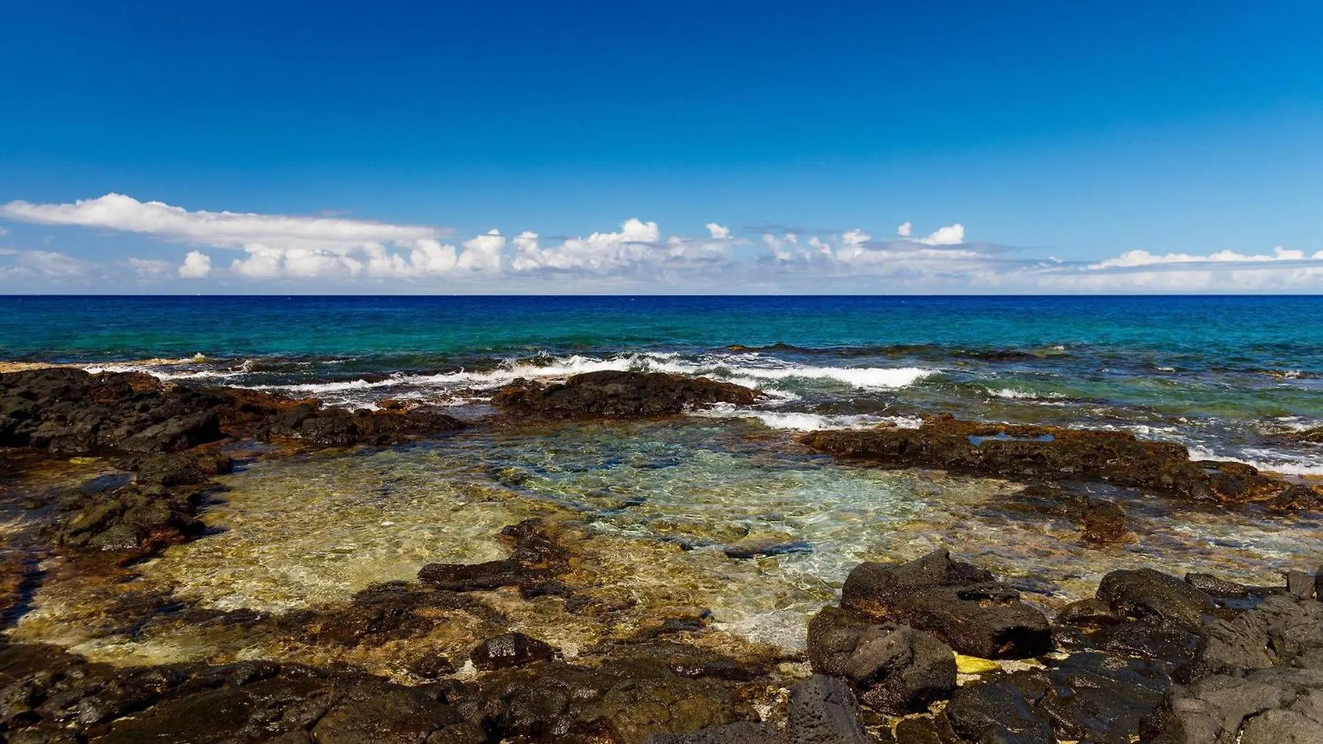 Willa Hale Kale Kailua-Kona