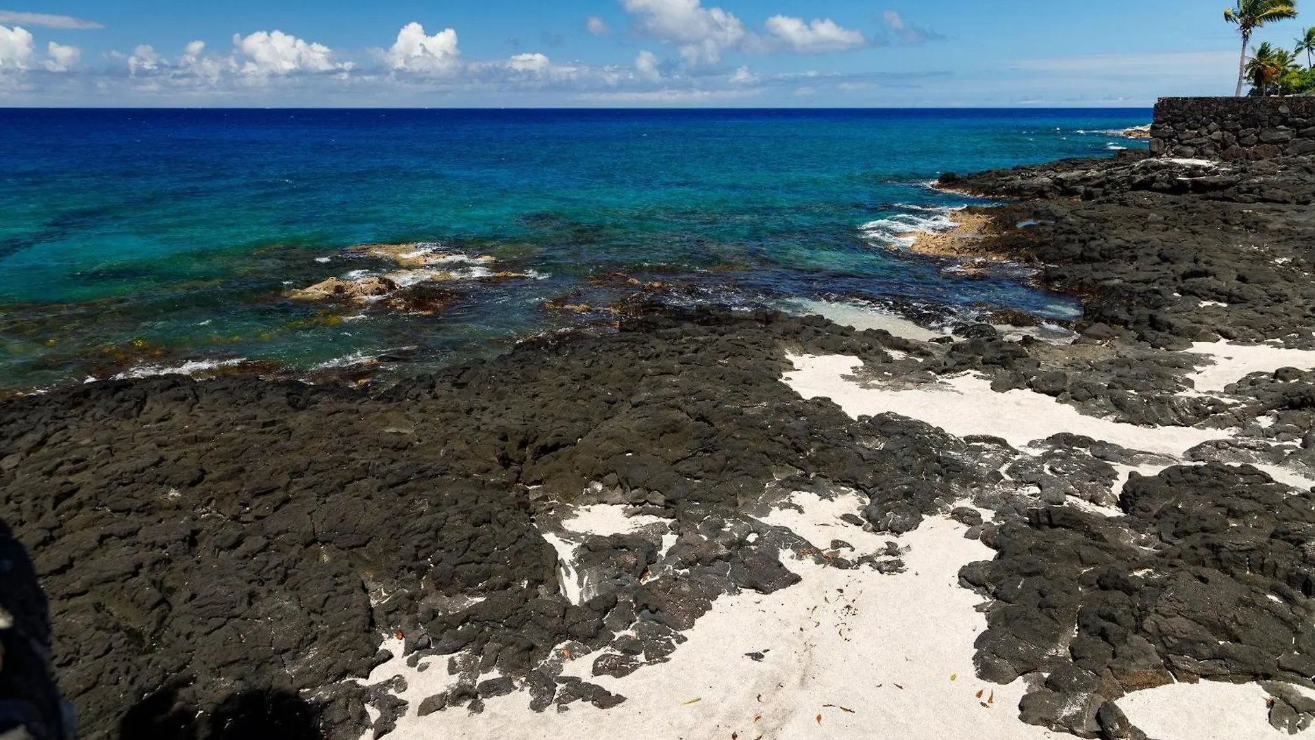 Willa Hale Kale Kailua-Kona