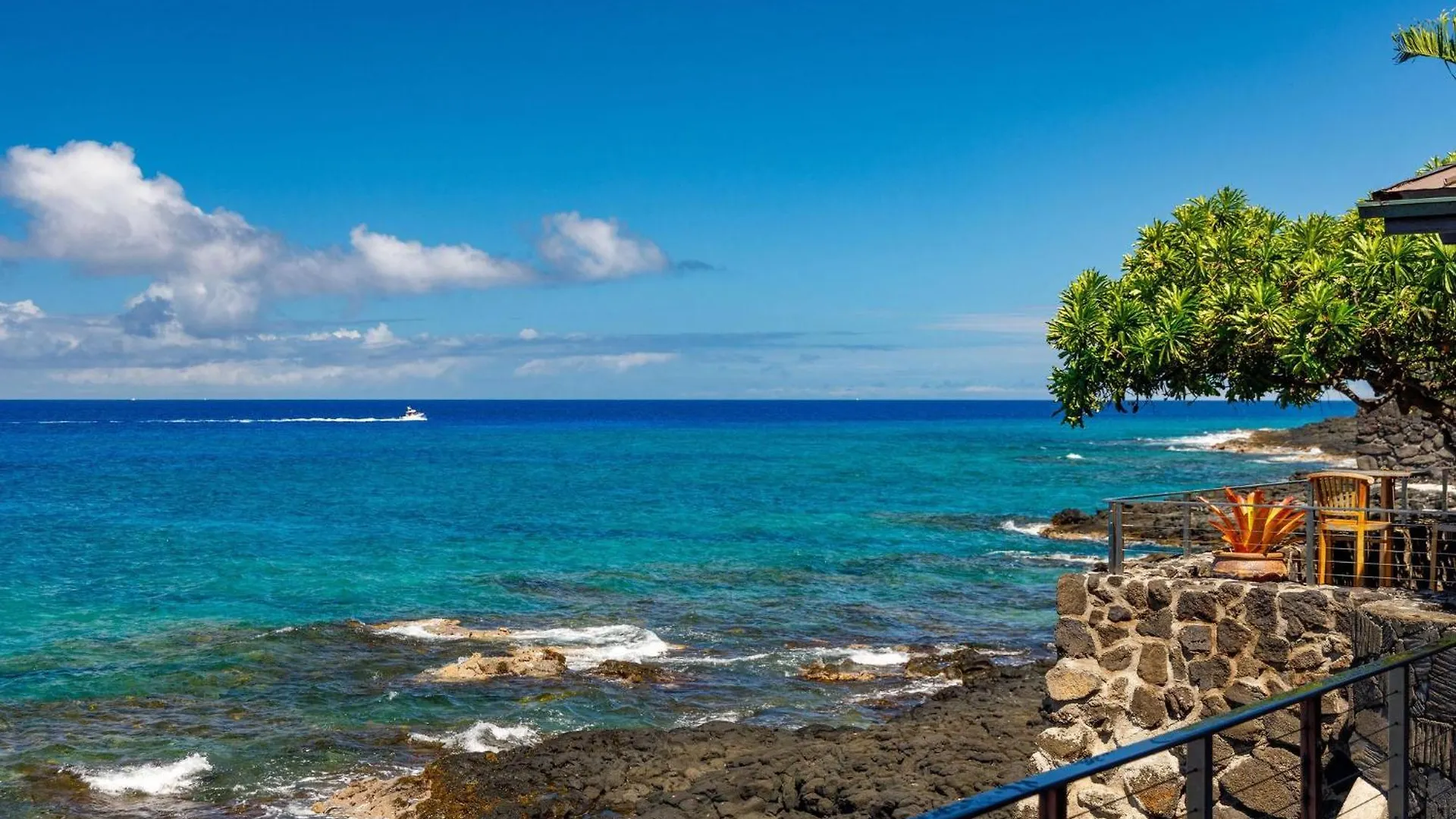 Willa Hale Kale Kailua-Kona